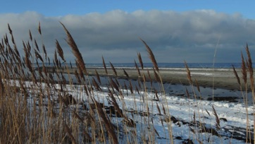 VED STRANDEN - LYSTRUP STRAND, VINTER 1.jpg VED STRANDEN - LYSTRUP STRAND, VINTER 1.jpg